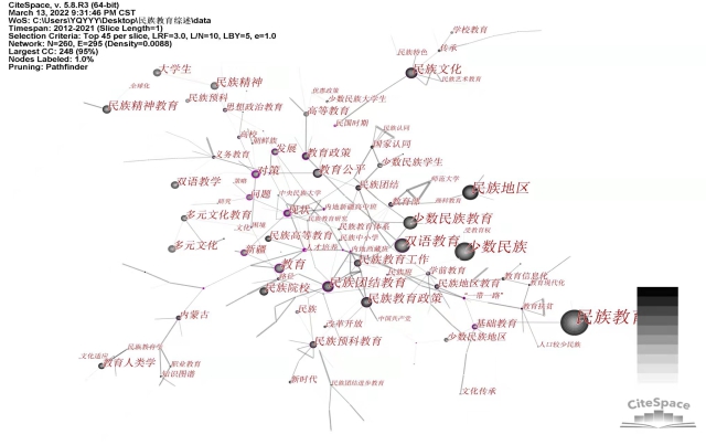 p19 圖2 民族教育研究共現(xiàn)網(wǎng)絡(luò)圖譜（2012-2021）.jpg