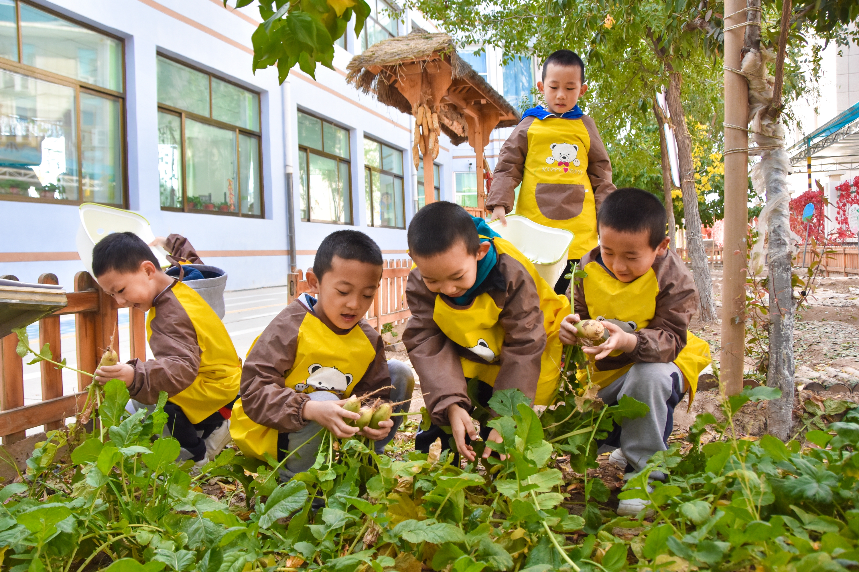 1.甘肅臨澤：濱河幼兒園“種植農場” 體驗農耕樂趣4.JPG