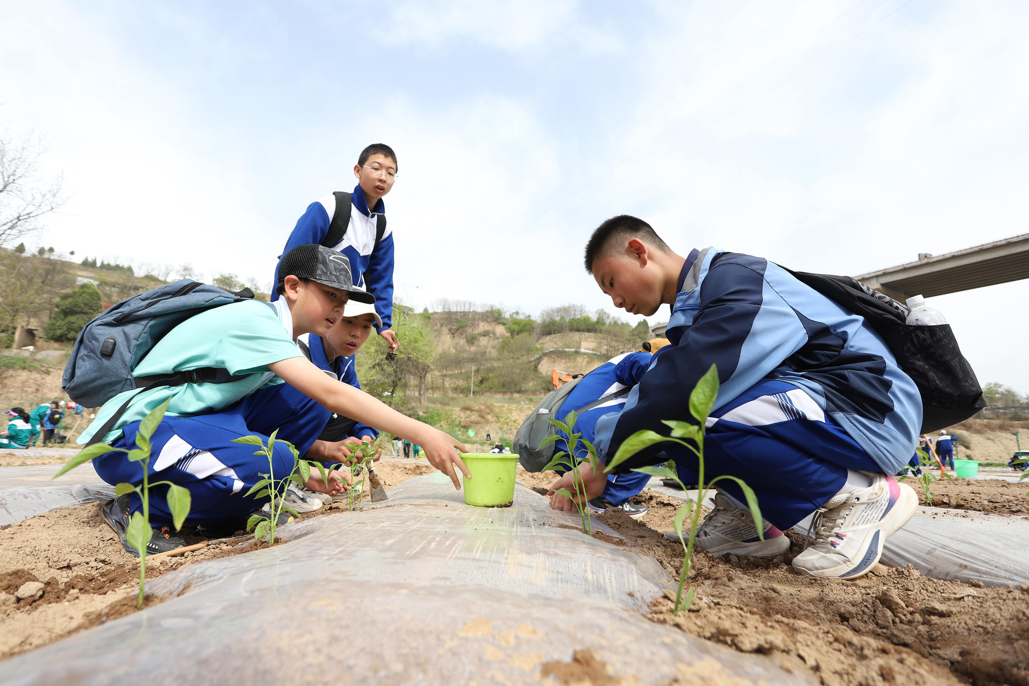 06——4月27日，在甘肅省平涼市第四中學行知園學農基地里，學生們在給剛剛種植的辣椒苗澆水。.JPG