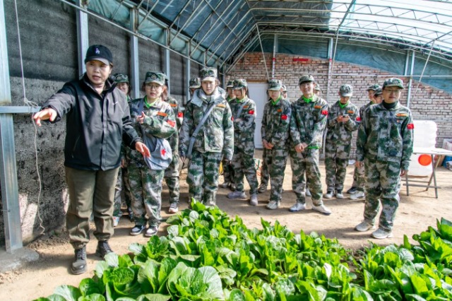 師生在第六埠村蔬菜大棚，了解蔬菜種植過程和常見病蟲害防治等知識。.jpg